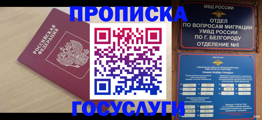 прописка законно в Вязьме